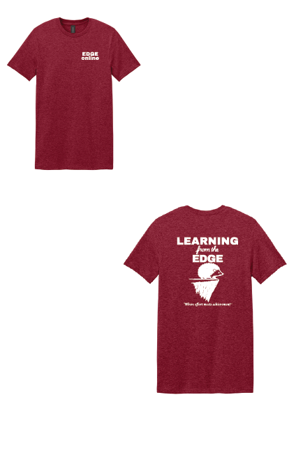 Short Sleeve SoftStyle Tee