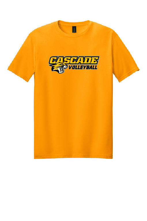 SoftStyle Short Sleeve Tee