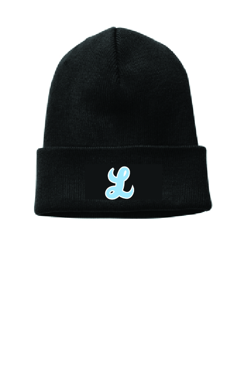 Nike Team Cuffed Beanie w/Embroidered Logo
