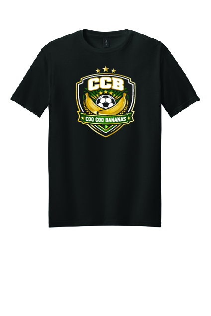 SoftStyle Short Sleeve Tee