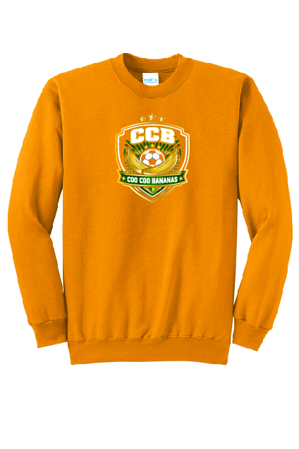 Core Fleece Crewneck Sweatshirt