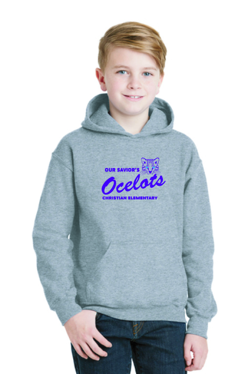 Heavy Blend Hoodie
