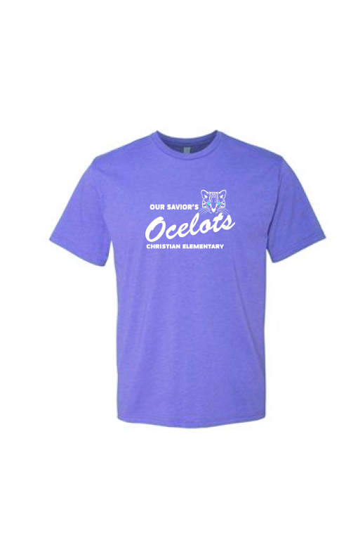 Next Level ® CVC Tee