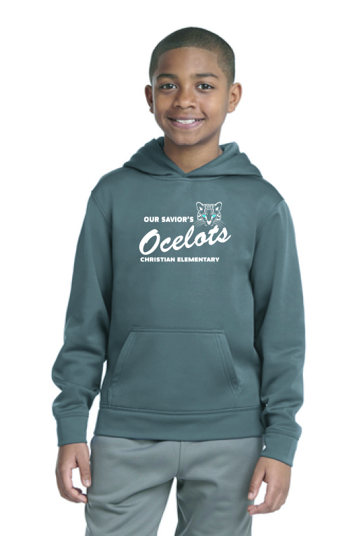 DriFit Hoodie
